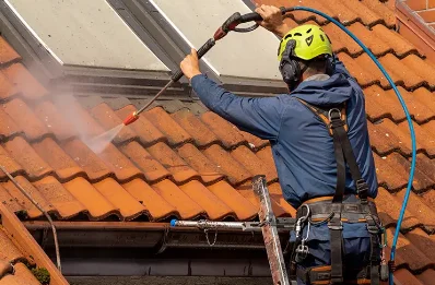 Démoussage et hydrofuge de toiture à Amné
